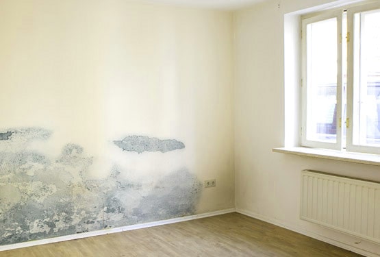 Cómo pintar una pared con humedad? - Pinturas Ydeco